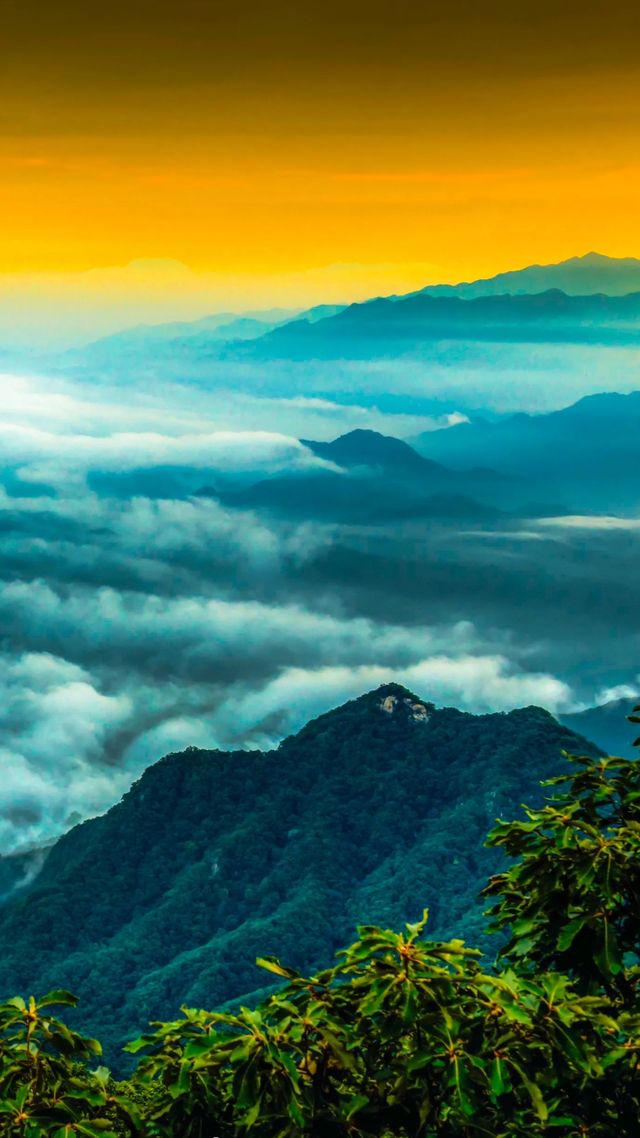 老君山：藏在雲海裡的神仙居所