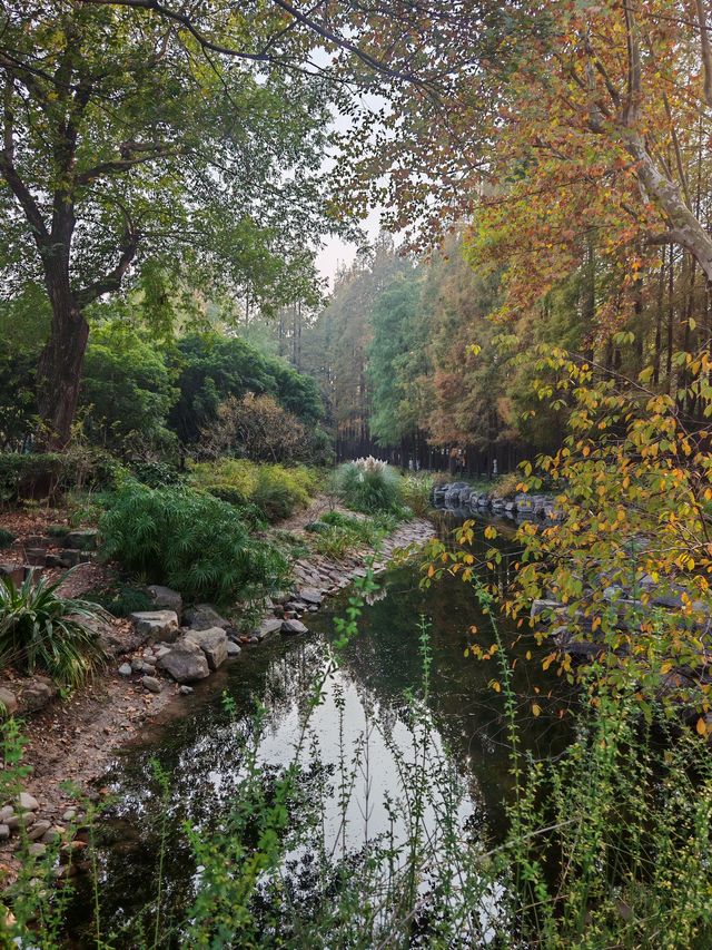 魔都植物園必看攻略櫻花季省時省力玩法