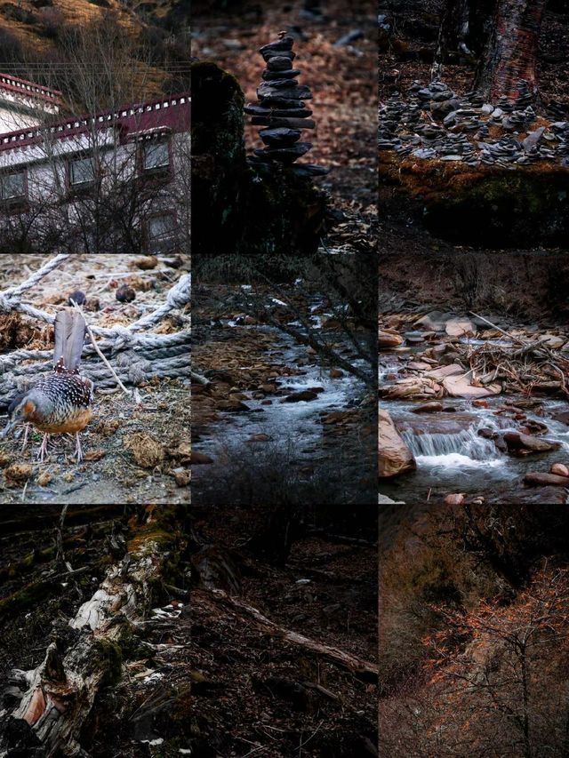 四姑娘山3日旅拍攻略冬季絕美山景這樣拍！