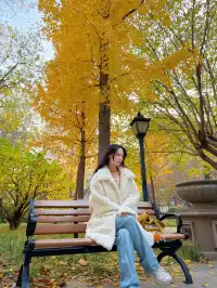 天津這條街假裝在歐洲暴走