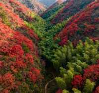 秋季徒步天花板｜黃陂屁屁溝，小眾秘境美到封神！