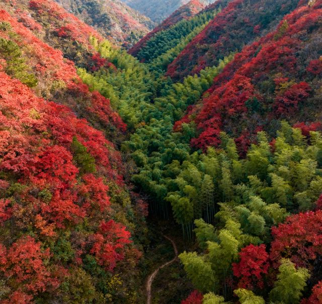 秋季徒步天花板｜黃陂屁屁溝，小眾秘境美到封神！