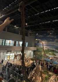 穿越兩億年的溫柔叩門聆聽時間破碎的聲音