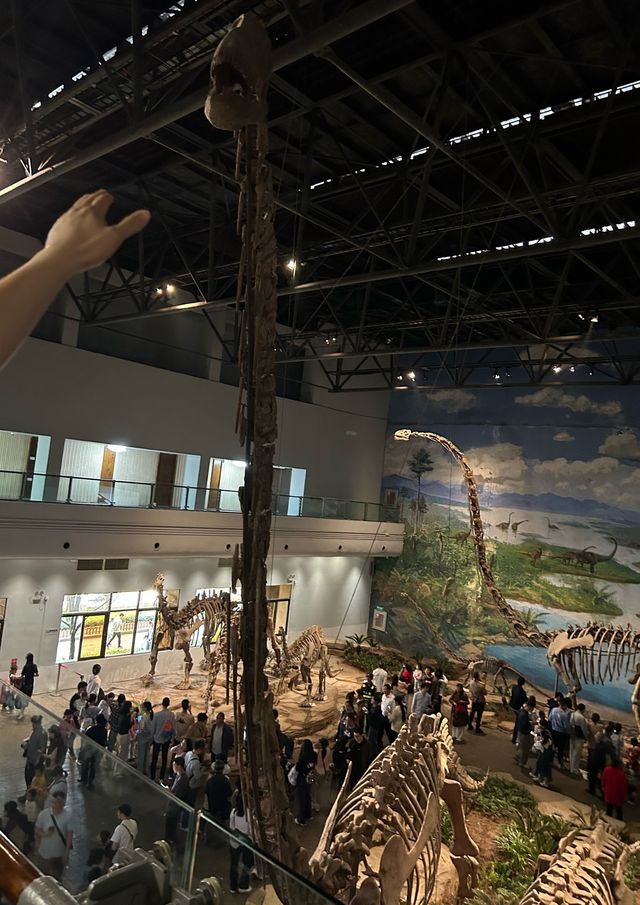 穿越兩億年的溫柔叩門聆聽時間破碎的聲音 穿越兩億年的溫柔叩門聆聽時間破碎的聲音