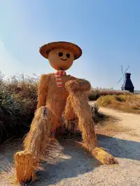 杭州灣濕地公園——承包我對秋冬的所有浪漫