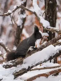 再吃，再吃就把你拍下來，放到網上去！