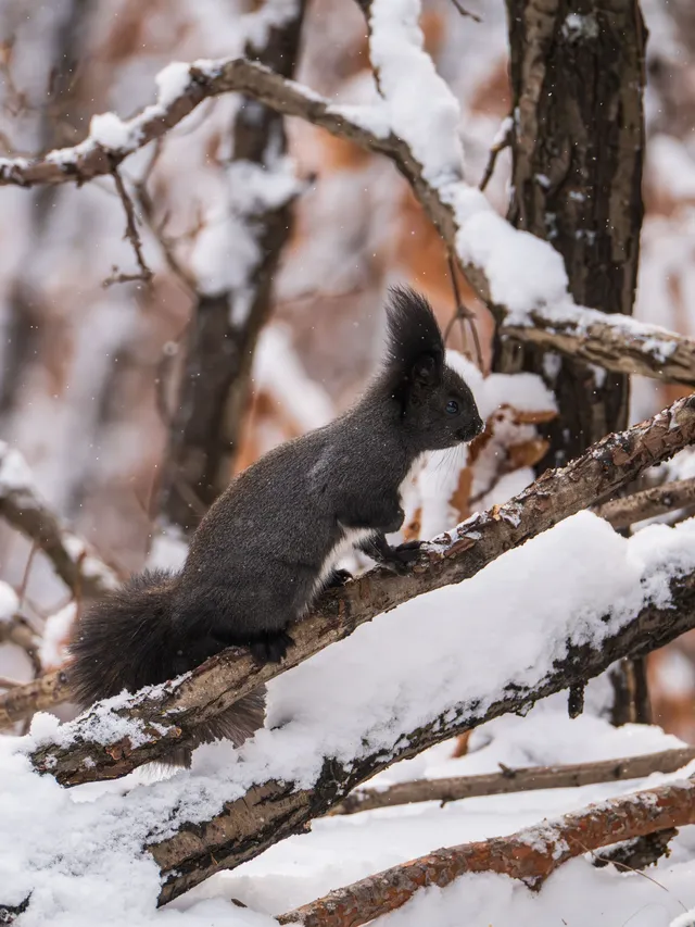 再吃，再吃就把你拍下來，放到網上去！
