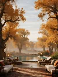 額濟納旗親子賞秋攻略帶娃玩轉胡楊林+沙漠秘境