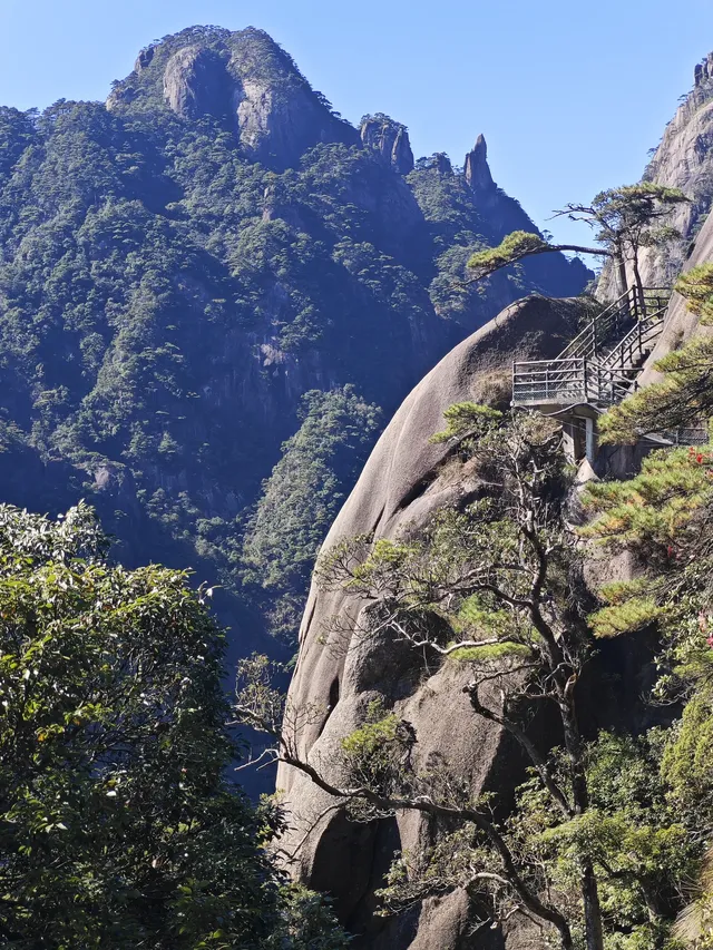 三清山的淡季青綠，比五嶽更懂打工人的放空