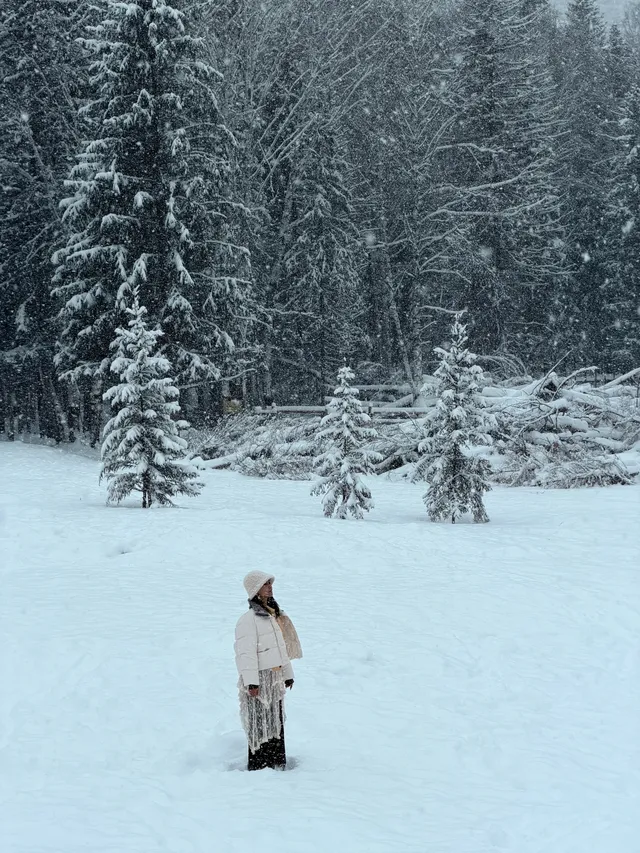 4大2小｜阿勒泰禾木喀納斯美到失語的秋假