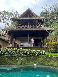 巴厘島烏布 | 皮塔馬哈度假村  靜謐山谷中的美麗珍珠   酒店：皮塔馬哈度假村 | Pit