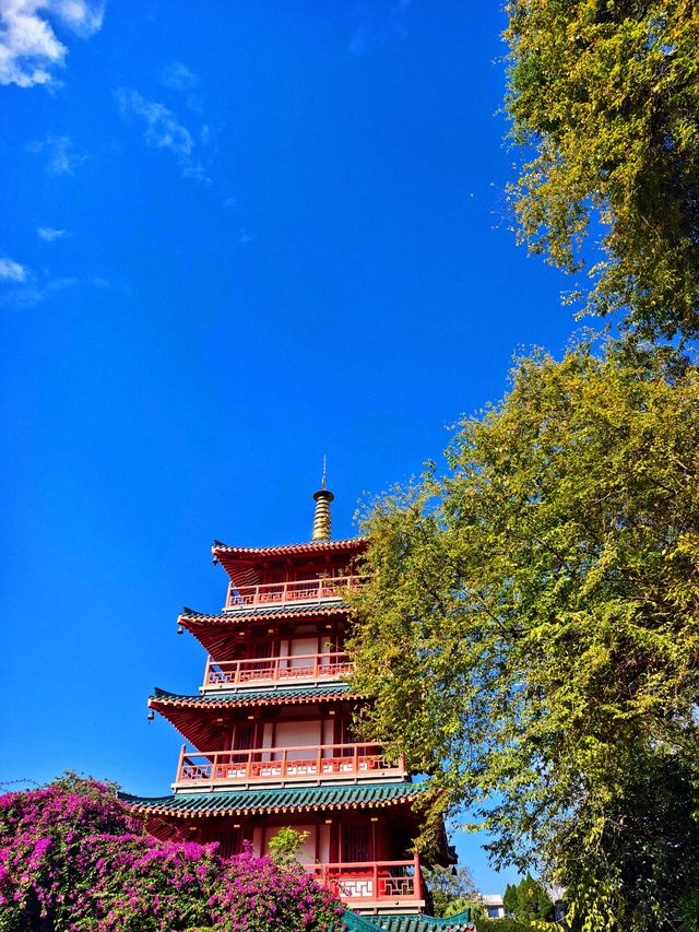 秋天的虞山公園真的太美了！