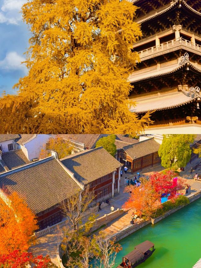 浙江嘉興濮院|時尚古鎮的獨特打開方式 浙江嘉興濮院|時尚古鎮的獨特打開方式