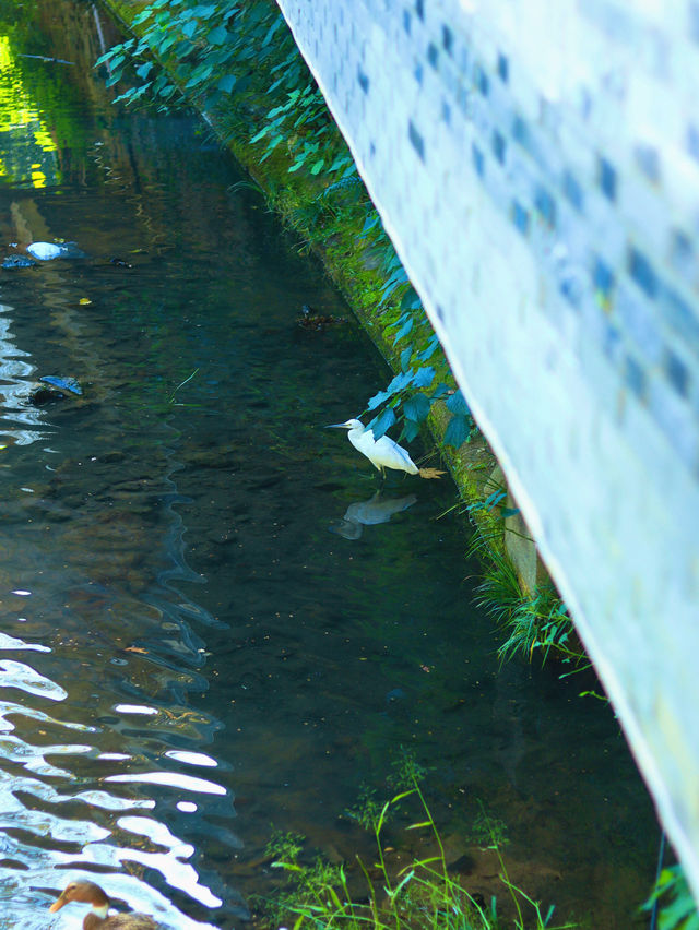 莫干山腳下 莫干山腳下