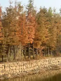 12.1實況live紹興鳳凰山美翻了!!!!!!