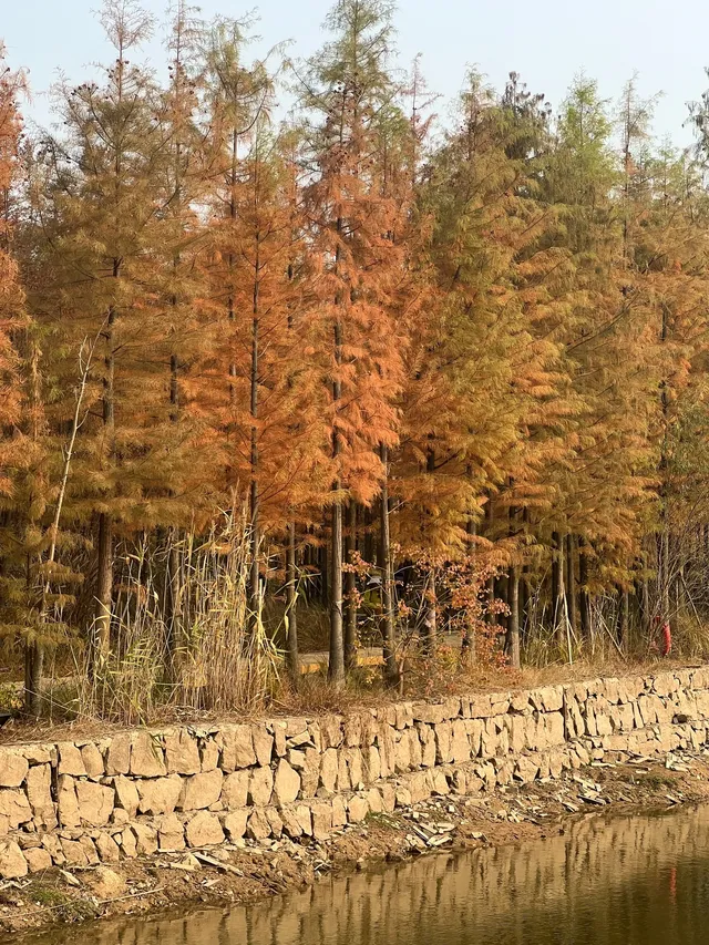 12.1實況live紹興鳳凰山美翻了!!!!!! 12.1實況live紹興鳳凰山美翻了!!!!!!