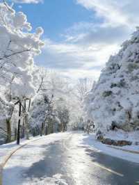 廬山兩天一夜看雪攻略|南方寶子的冰雪奇緣圓夢記