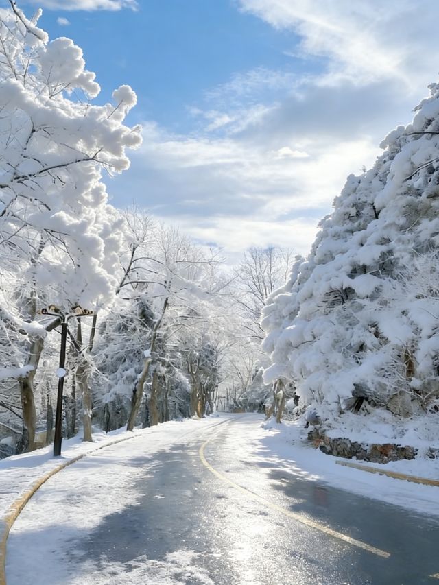 廬山兩天一夜看雪攻略|南方寶子的冰雪奇緣圓夢記 廬山兩天一夜看雪攻略|南方寶子的冰雪奇緣圓夢記