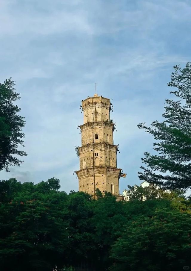 被問爆的南端海景民宿,趕海看日出太絕 被問爆的南端海景民宿,趕海看日出太絕