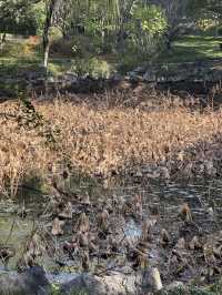 這裡不賣小商品｜「出售」最地道的義烏生活切片