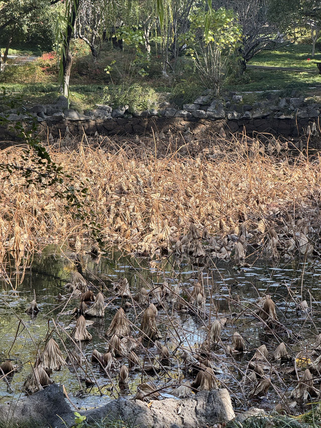這裡不賣小商品｜「出售」最地道的義烏生活切片