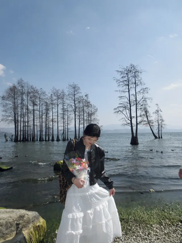 大理你怎麼… 大理你怎麼…