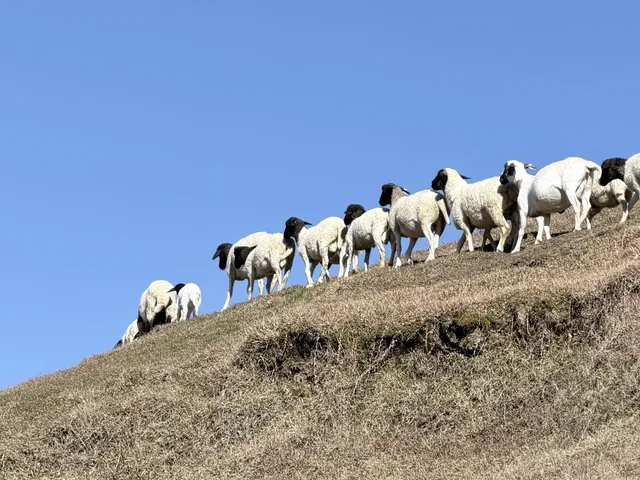 廣東-湖南極限兩天一夜 廣東-湖南極限兩天一夜