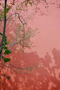 福州|尋訪尚乾,這座古塔太寶藏了