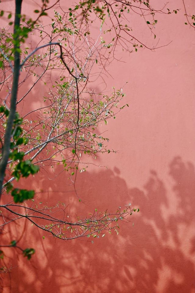 福州|尋訪尚乾,這座古塔太寶藏了 福州|尋訪尚乾,這座古塔太寶藏了