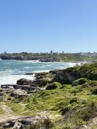 南非｜赫曼努斯-世界最佳陸地觀鯨地