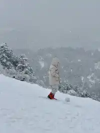 神農架冬日童話|闖入南國最純淨的雪國