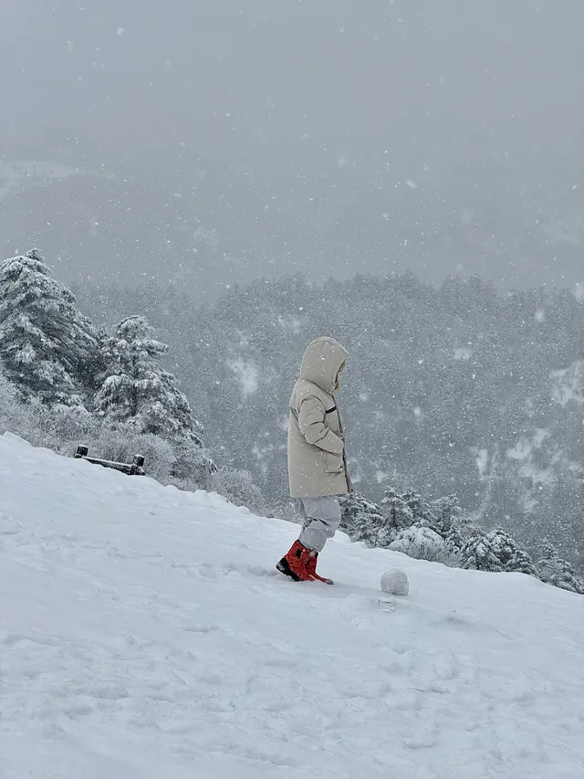 神農架冬日童話|闖入南國最純淨的雪國 神農架冬日童話|闖入南國最純淨的雪國