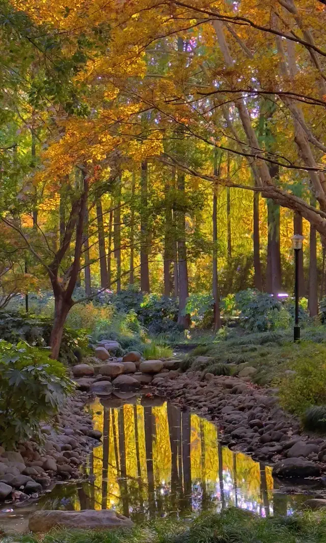 上海市中心兩小時賞秋路線