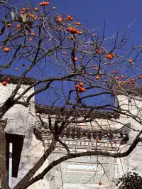 宏村→塔川一日遊