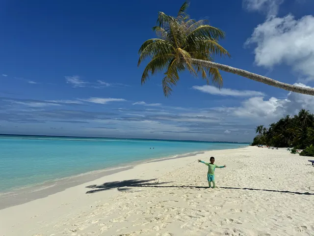 馬爾代夫太陽島管家好棒! 馬爾代夫太陽島管家好棒!