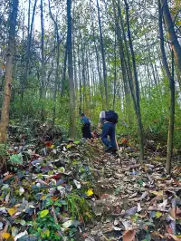 成都霧霾天的救命徒步!蒲虹路6公里,拿捏!