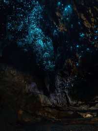 自由行紐西蘭！中文包車定制可辦簽證