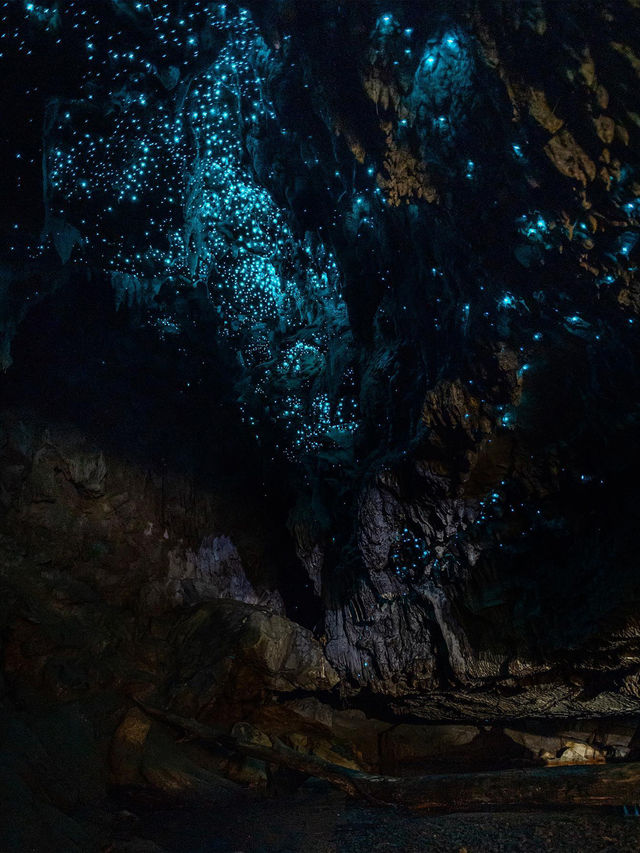 自由行紐西蘭！中文包車定制可辦簽證