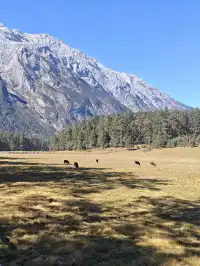 玉龍雪山全程攻略詳細時間線