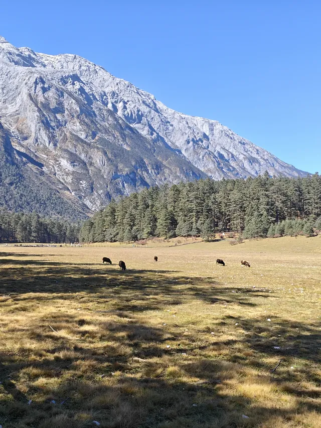 玉龍雪山全程攻略詳細時間線