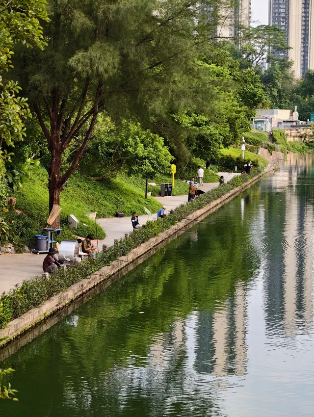 市中心的寶藏公園｜筆架山露營+爬山攻略