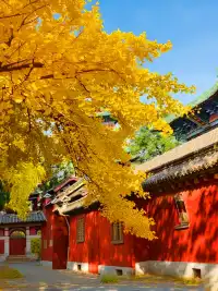 避坑!冬天別從三皇寨上山了這條路線快收好