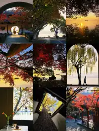 杭州紅楓反向線|3h拍爆西湖秋景~