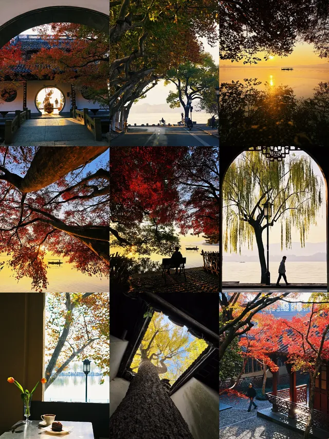 杭州紅楓反向線|3h拍爆西湖秋景~ 杭州紅楓反向線|3h拍爆西湖秋景~