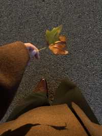 烈士公園的秋日氛圍