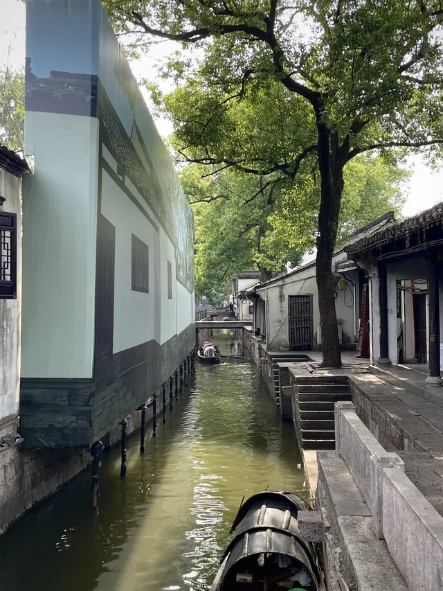 去迅哥家,從進門開始就一直在出片 去迅哥家,從進門開始就一直在出片