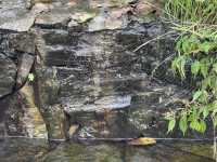 宮崎駿同款天空之城!我在哀牢山找到了神仙民宿