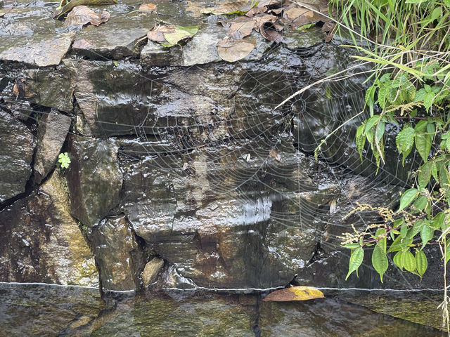 宮崎駿同款天空之城!我在哀牢山找到了神仙民宿 宮崎駿同款天空之城!我在哀牢山找到了神仙民宿