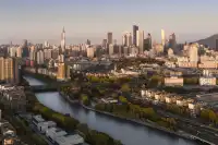 該怎麼向你描述南京的秋天呢