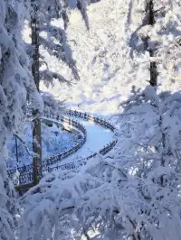 不去川西也能玩雪!部分無門票!